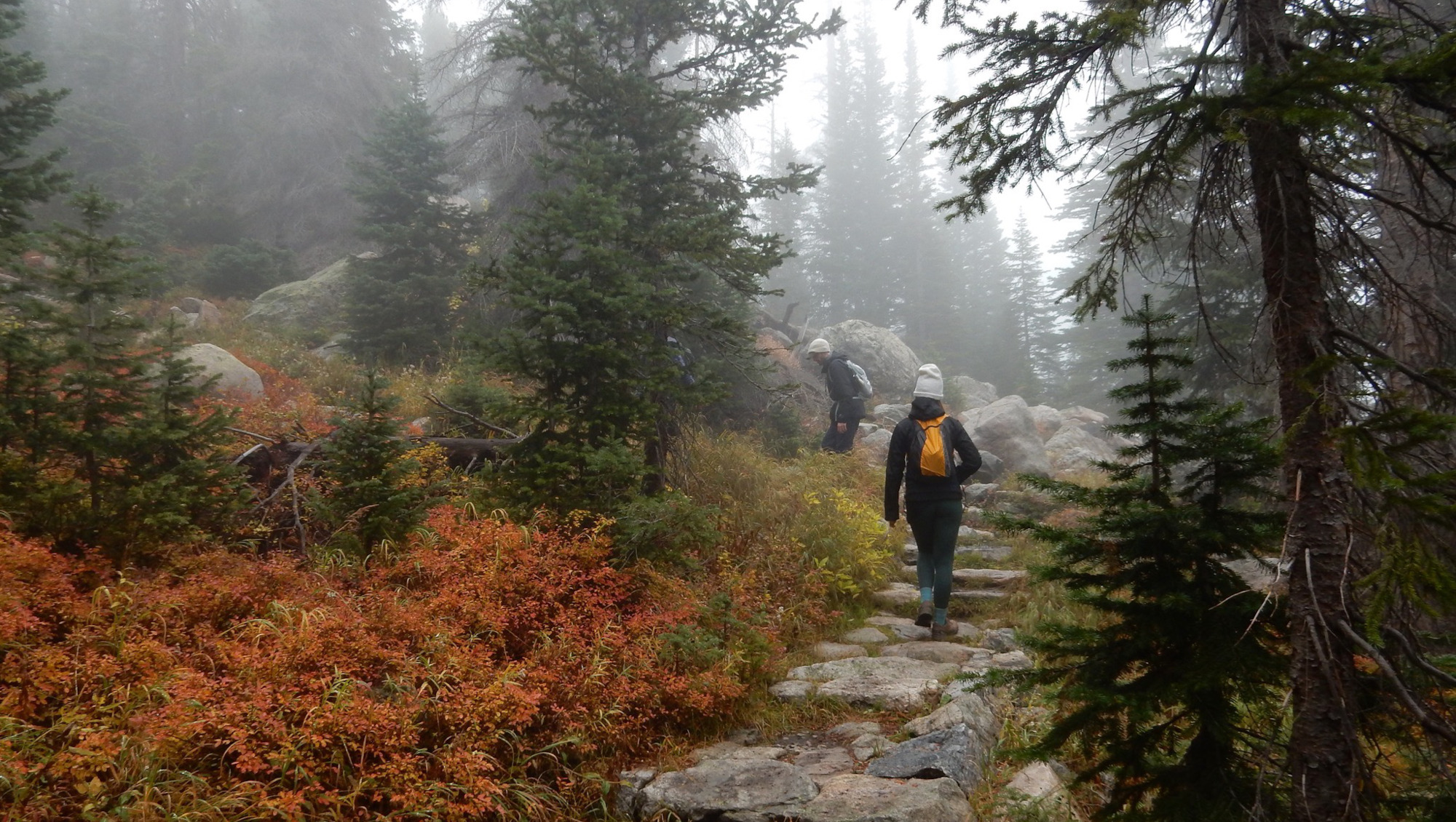 banner_hikers_autumn_mist