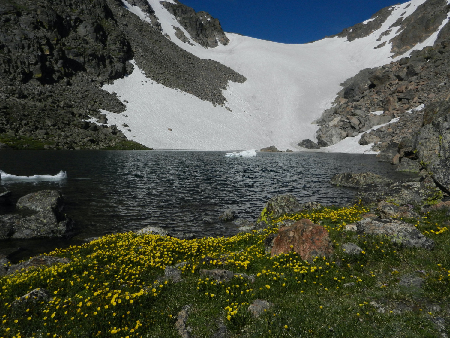 rocky mountain tour guides